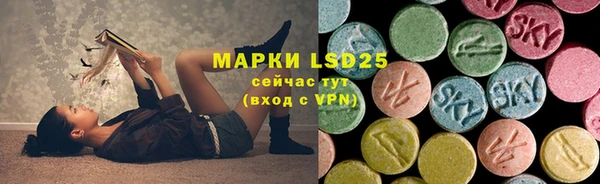экстази Арсеньев
